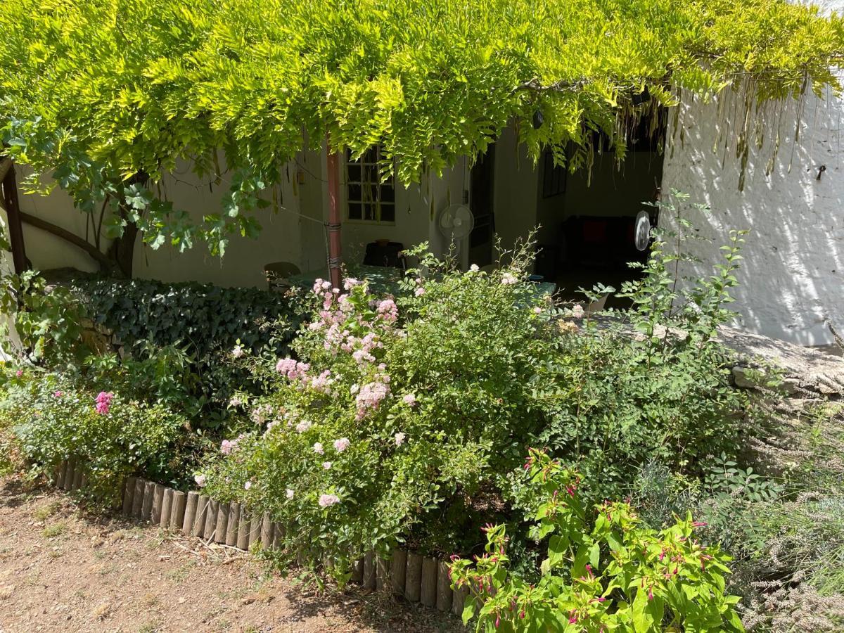 L'Ancienne Raffinerie De Tabac Villa Dernacueillette Exterior foto